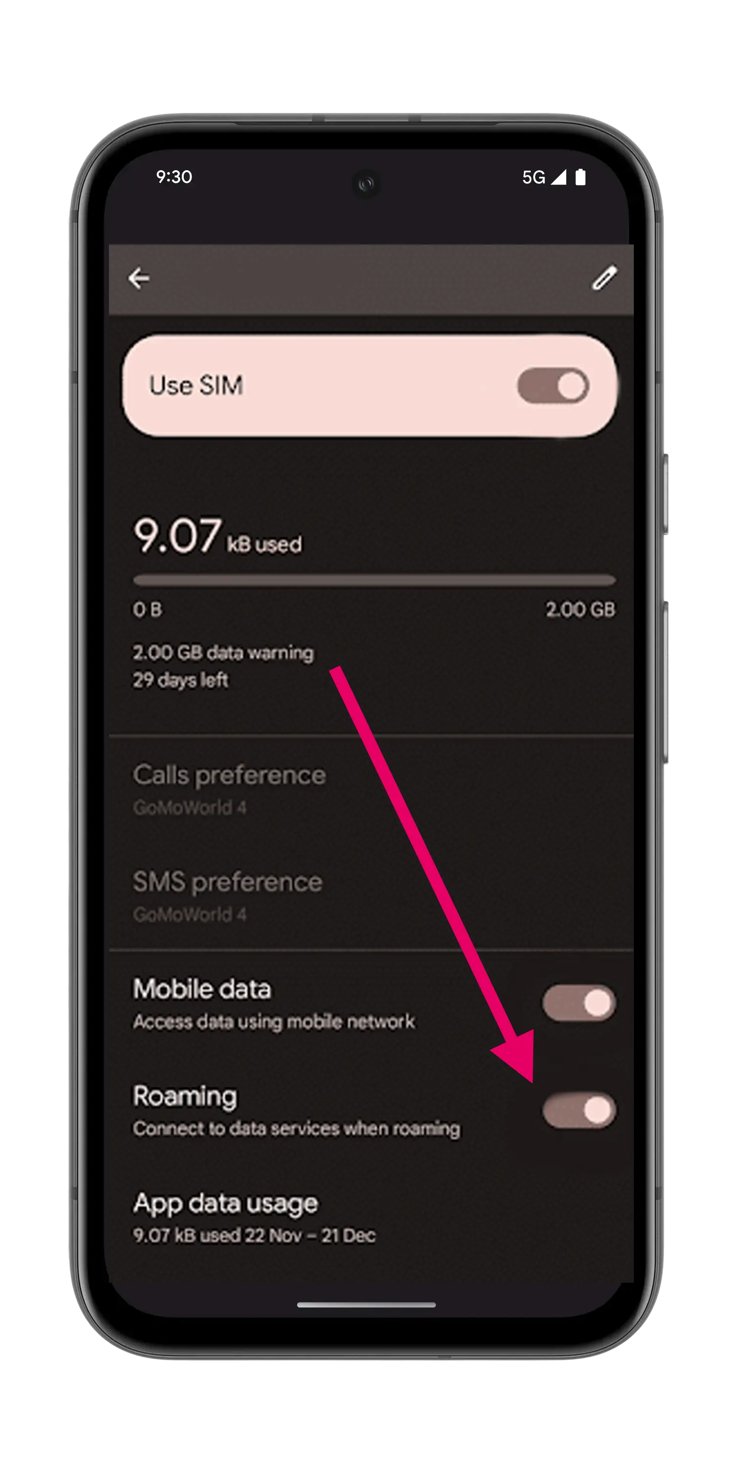 Pixel Step 4: Enable data roaming