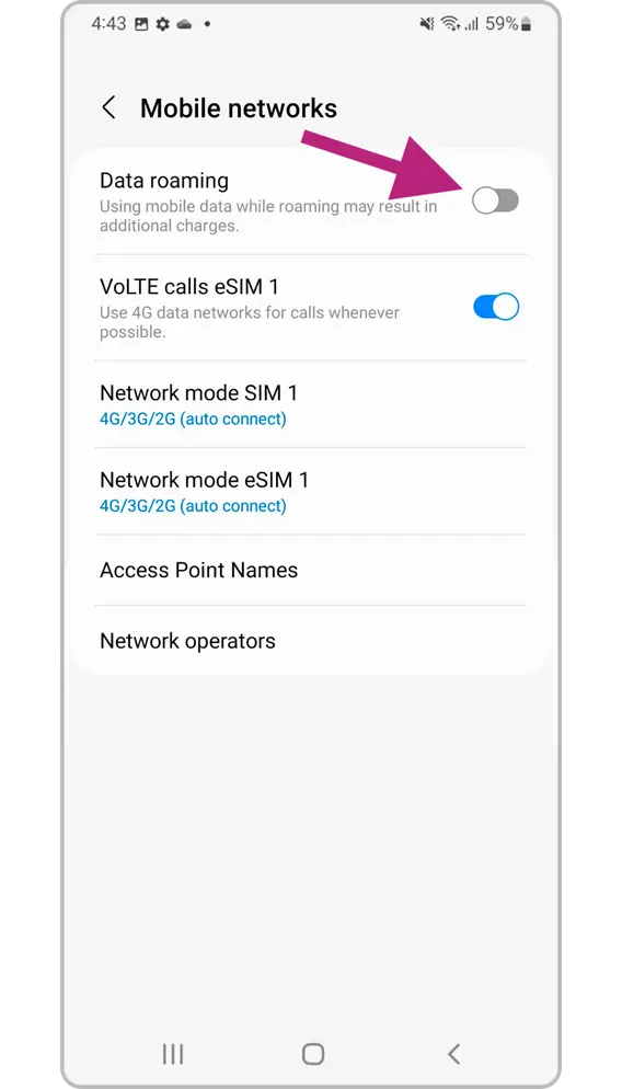 Samsung Step 5: Enable data roaming